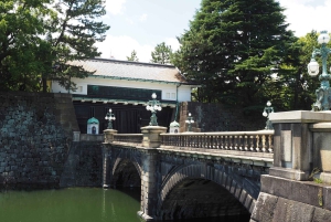 Tokyo: Tour di mezza giornata in autobus al mattino