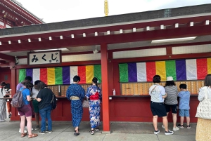 Tokyo: Tour di mezza giornata in autobus al mattino