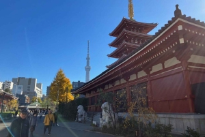 Tokyo: Tour di mezza giornata in autobus al mattino