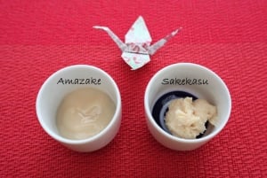 Tokyo: A Hidden Gem! Vegan Fermented Food Dessert Class
