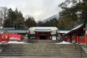 Tokyo: Snow Monkey Park and Zenkoji Temple Private Day Tour