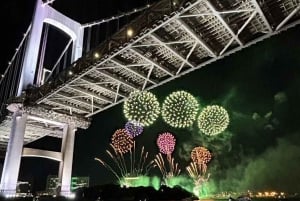 Tokyo: Adachi Fireworks Exclusive Cruise Tour with Show&Meal