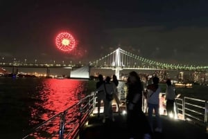 Tokyo: Adachi Fireworks Exclusive Cruise Tour with Show&Meal