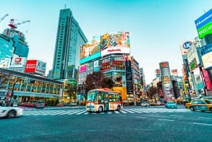 Tokio: Privé & persoonlijke wandeltours met lokale gids