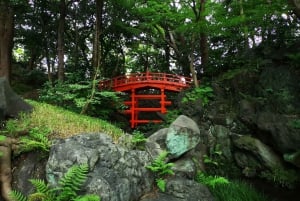 Tokio: Privé & persoonlijke wandeltours met lokale gids