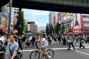 Tokyo : visite privée de 2 heures à vélo électrique des temps forts de la ville
