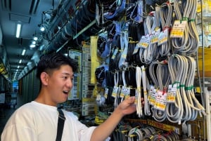 Tokyo : visite privée de 2 heures à vélo électrique des temps forts de la ville