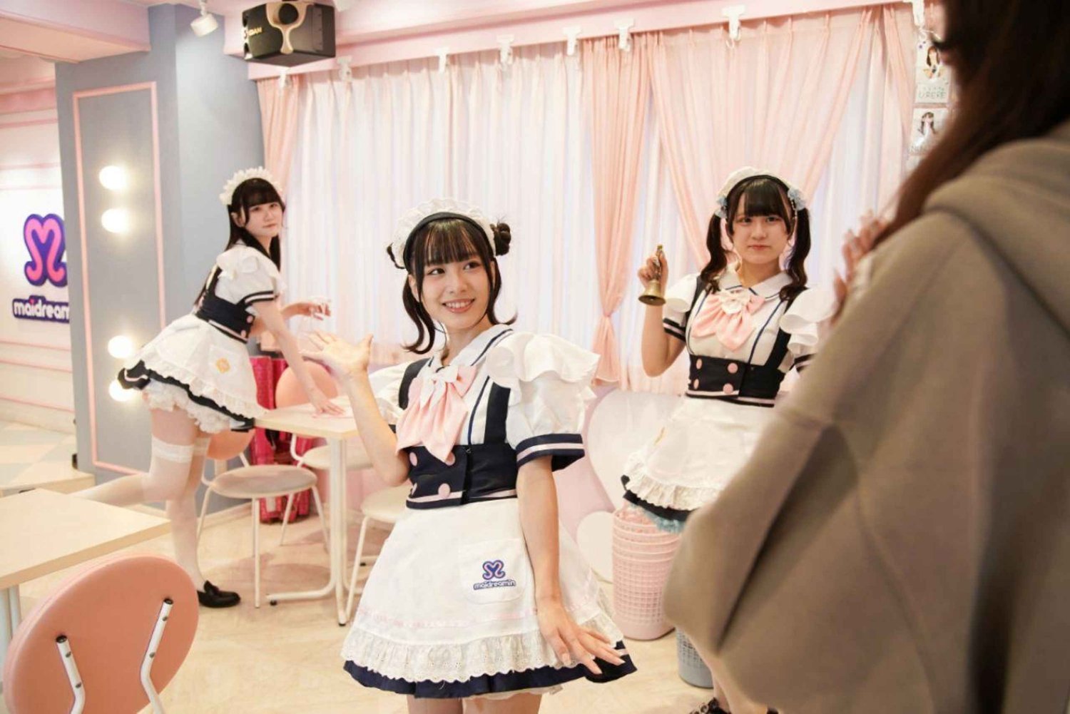 Tokio: wycieczka z przewodnikiem po Akihabara, krainie anime i kawiarni dla pokojówek