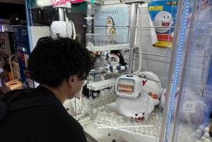 Tokyo: Akihabara Anime & Game Pop Culture tour