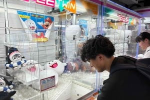 Tokyo: Akihabara Anime & Game Pop Culture tour