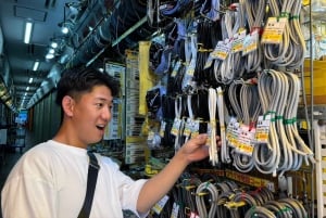 Tokyo: Akihabara Anime & Game Pop Culture tour