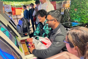 Tokio: Recorrido por Akihabara, Anime, Manga, Juegos y Cultura Pop