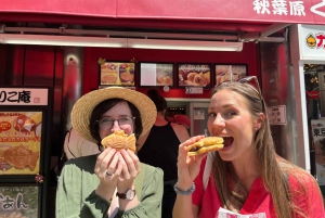 Tokio: Recorrido por Akihabara, Anime, Manga, Juegos y Cultura Pop