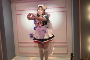 Tokyo Akihabara, anime, manga, gry wideo i wycieczka do Maid Cafe