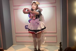 Tokyo Akihabara, Anime, Manga, Videospiele & Maid Cafe Tour