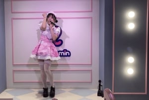 Tokyo Akihabara, Anime, Manga, Videospiele & Maid Cafe Tour