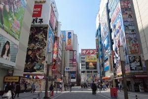 Tokyo Akihabara, Anime, Manga, videospil og Maid Cafe Tour