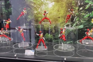 Tokyo Akihabara, Anime, Manga, videospil og Maid Cafe Tour