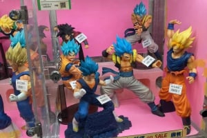 Tokyo Akihabara, Anime, Manga, videospil og Maid Cafe Tour