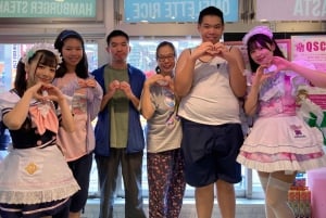 Tokyo Akihabara, Anime, Manga, videospil og Maid Cafe Tour