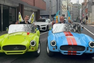 Tokio: Akihabara Go-Karting Tour (mit Guide)