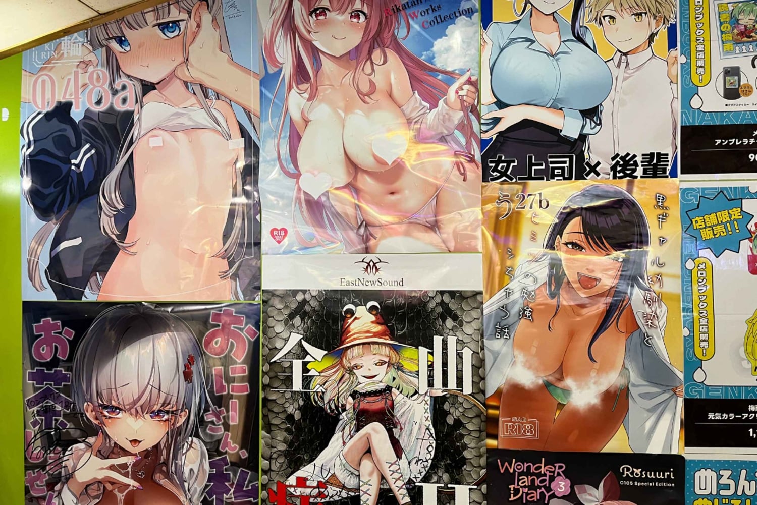 Tokyo: Tour privato degli hentai di Akihabara