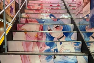 Tokyo: Tour privato degli hentai di Akihabara