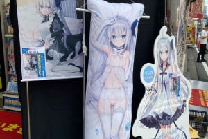 Tokyo: Tour privato degli hentai di Akihabara