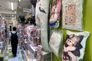 Tokyo: Tour privato degli hentai di Akihabara