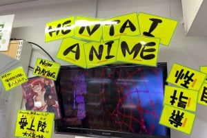 Tokyo: Tour privato degli hentai di Akihabara