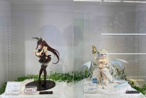 Tokyo: Tour privato degli hentai di Akihabara