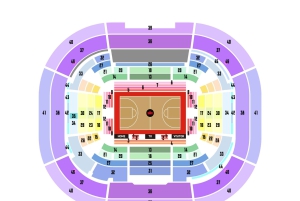 Tokio: Bilet na mecz koszykówki Alvark Tokyo