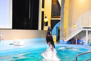 Tóquio: Ingresso para o parque de diversões Yomiuri Land