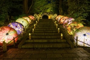 Tóquio: Ingresso para o parque de diversões Yomiuri Land