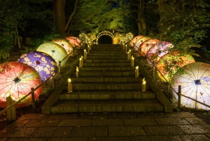 (Voor buitenlanders) Tokio: Ticket voor pretpark Yomiuri Land