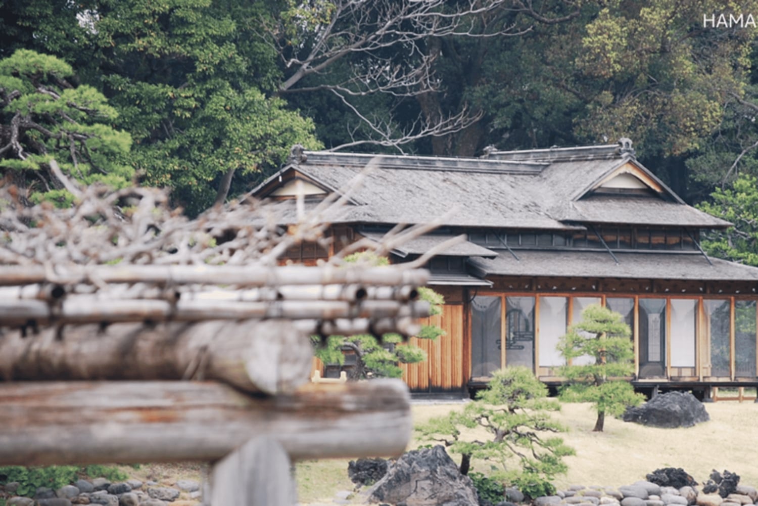 Tokio: Waar je maar wilt! Tokio Tour op maat in 5 uur
