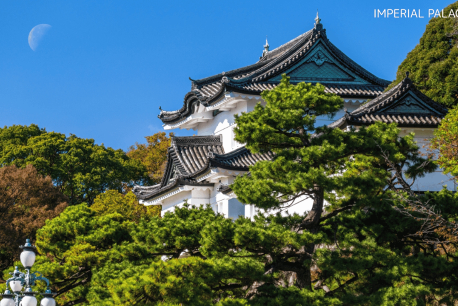 Tokio: Waar je maar wilt! Tokio Tour op maat in 5 uur