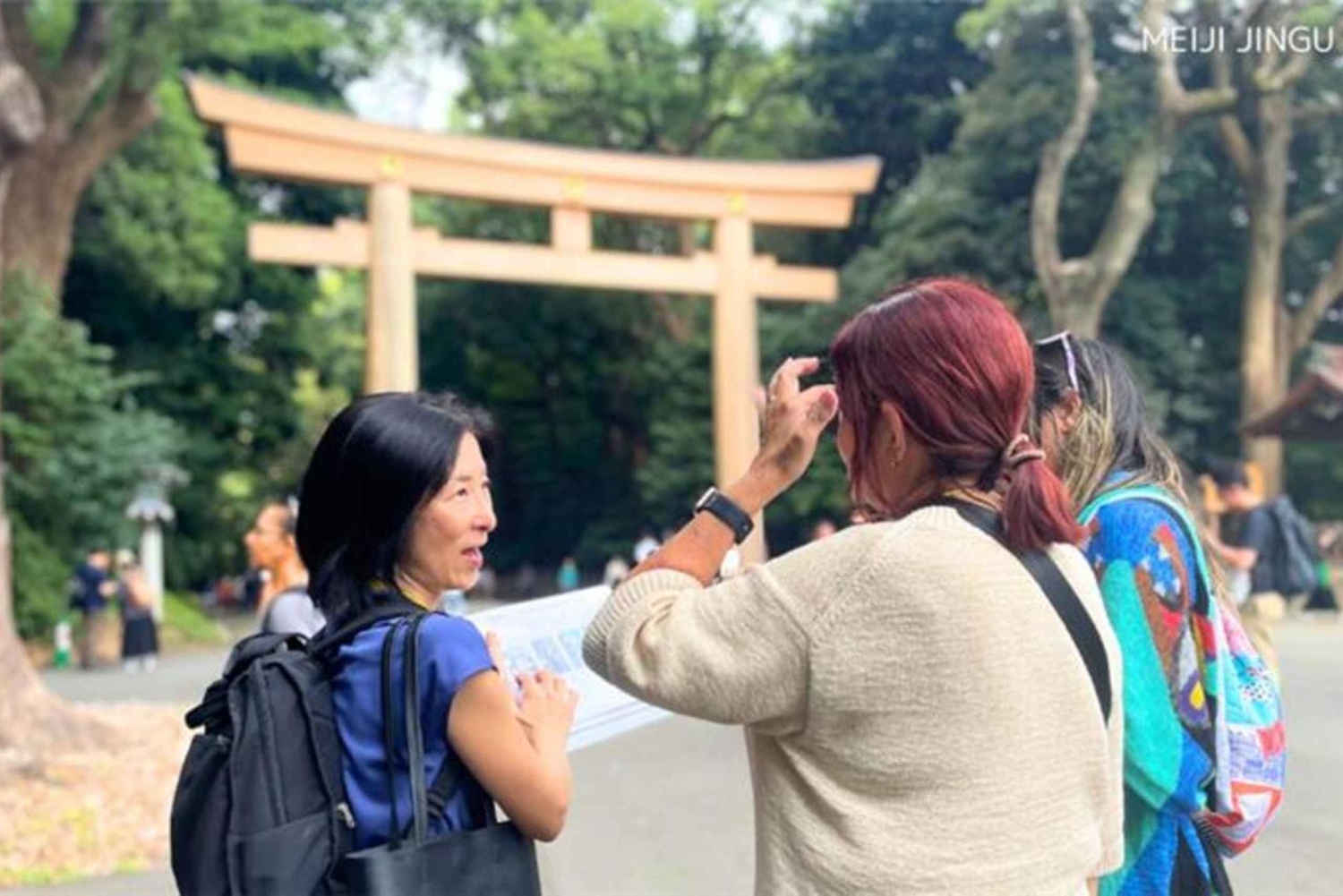 Tokio: Waar je maar wilt! Tokio Tour op maat in 5 uur