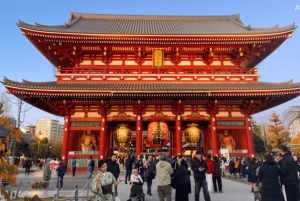 Tokio: Waar je maar wilt! Tokio Tour op maat in 5 uur