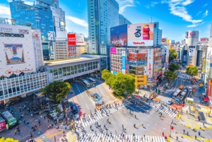 Tokio: Waar je maar wilt! Tokio Tour op maat in 5 uur