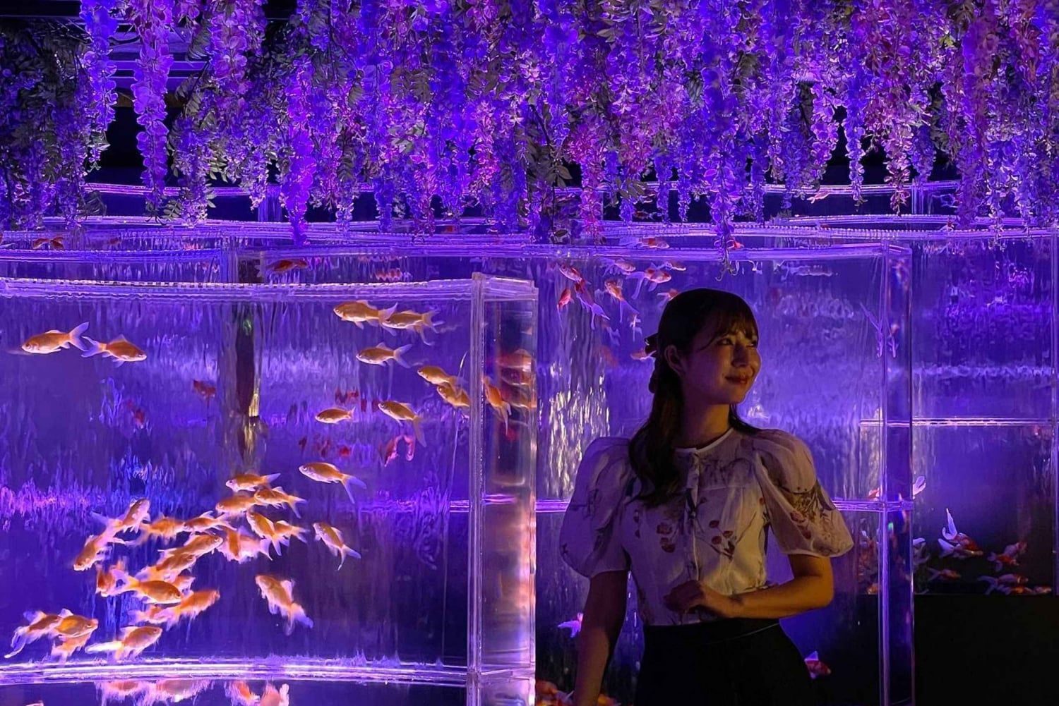 Tokyo: Art Aquarium Museum GINZA Inngangsbillett