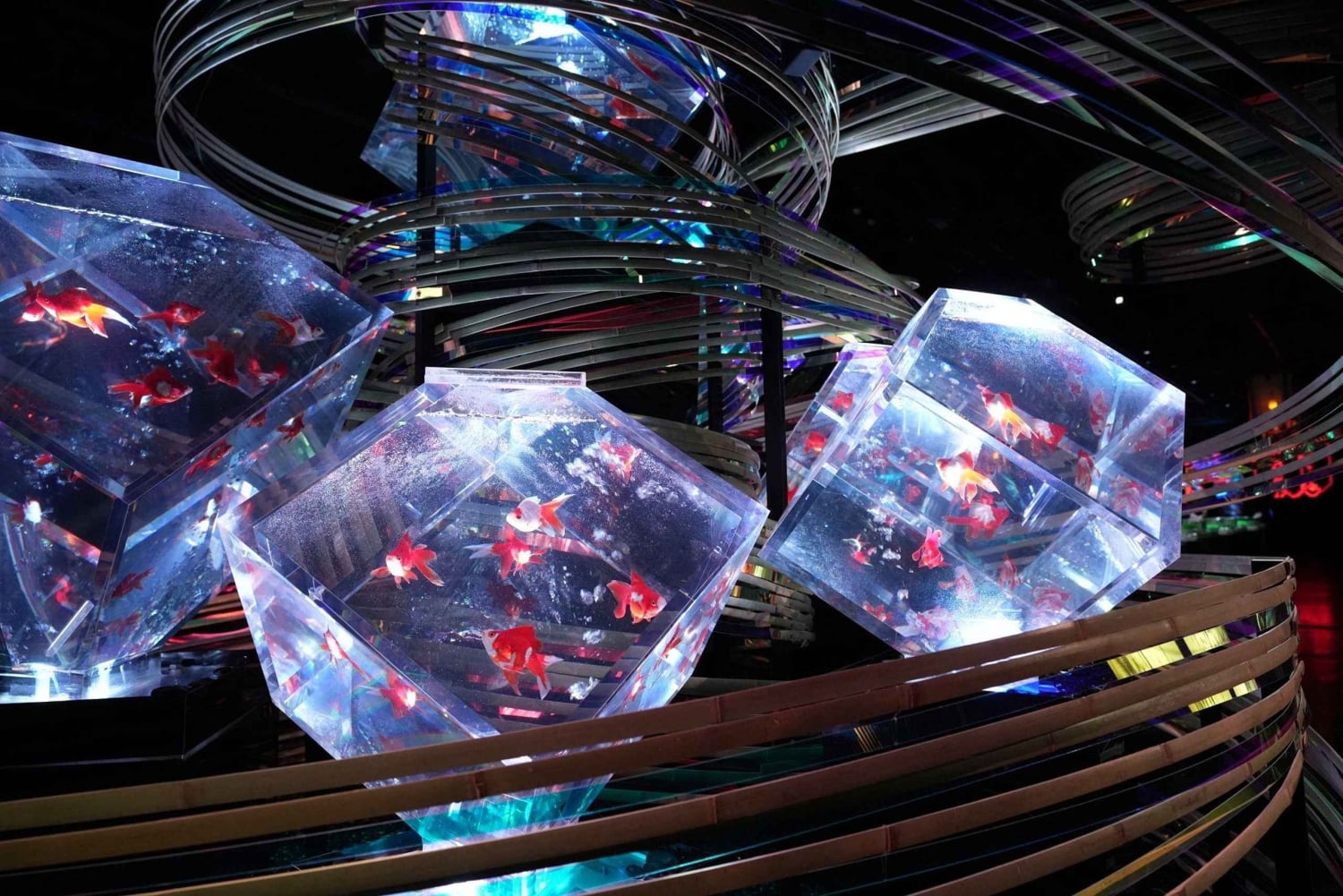 Tokyo: Art Aquarium Museum GINZA Inngangsbillett