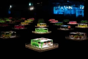 Tokio: Bilet wstępu do Muzeum Art Aquarium GINZA