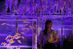 Tokio: Bilet wstępu do Muzeum Art Aquarium GINZA