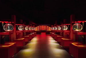 Tokio: Bilet wstępu do Muzeum Art Aquarium GINZA