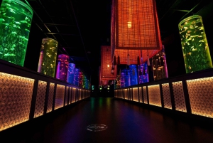 Tokio: Bilet wstępu do Muzeum Art Aquarium GINZA