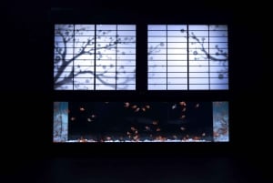 Tokio: Bilet wstępu do Muzeum Art Aquarium GINZA