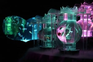 Tokio: Bilet wstępu do Muzeum Art Aquarium GINZA