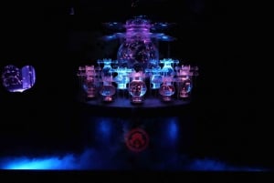 Tokio: Bilet wstępu do Muzeum Art Aquarium GINZA