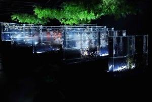 Tokio: Bilet wstępu do Muzeum Art Aquarium GINZA